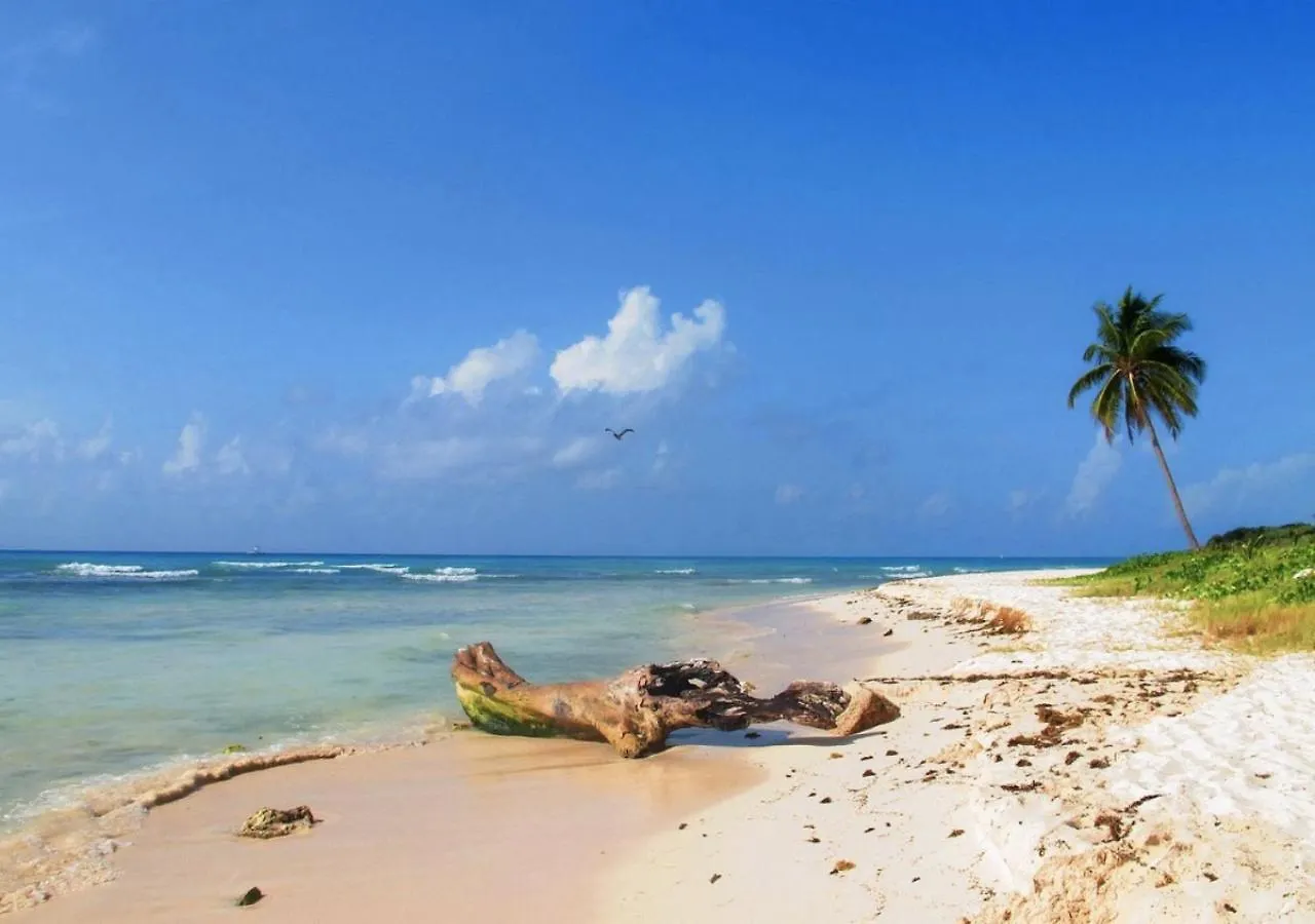 Casa Bugambilias Playa Bed and Breakfast Playa del Carmen Mexico