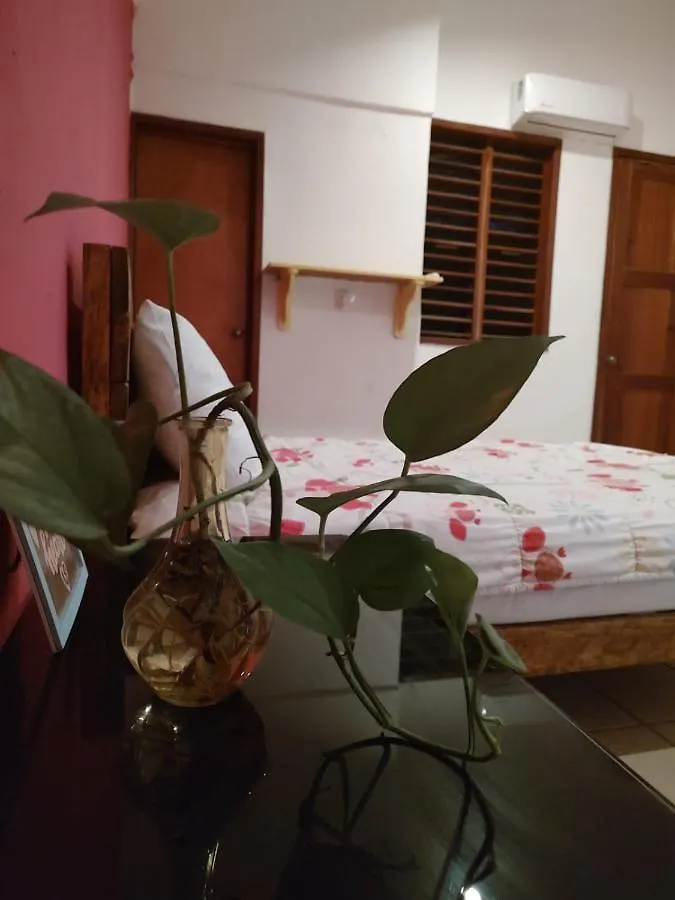 Bed & Breakfast Casa Bugambilias Playa Bed and Breakfast Playa del Carmen
